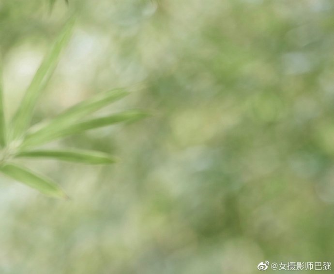 绝命毒师